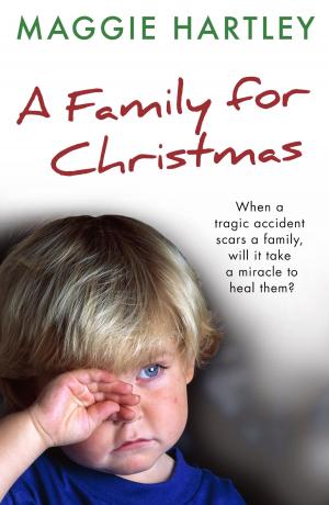 Cover of the book A Family For Christmas by E.C. Tubb
