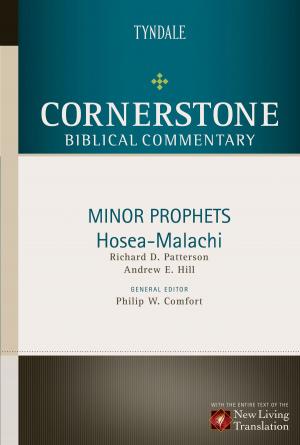 Book cover of Minor Prophets: Hosea through Malachi