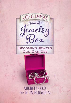 Book cover of God Glimpses from the Jewelry Box