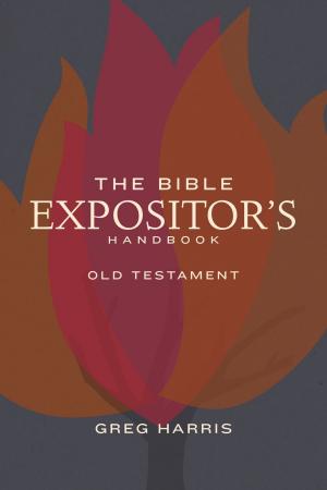 Book cover of The Bible Expositor's Handbook, OT Edition