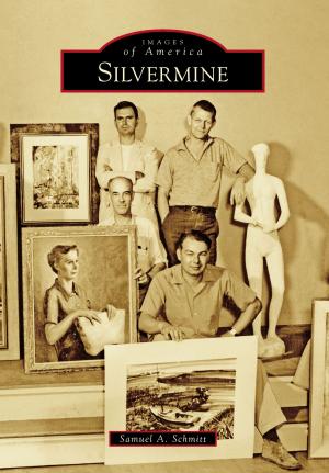 Cover of the book Silvermine by Kirk W. House, Charles R. Mitchell