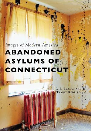 Cover of the book Abandoned Asylums of Connecticut by Allan Sekula