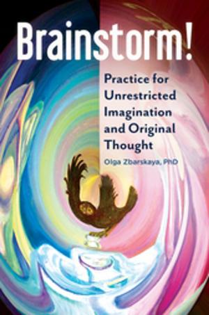 Cover of the book Brainstorm! Practice for Unrestricted Imagination and Original Thought by James B. Tschen-Emmons Ph.D.