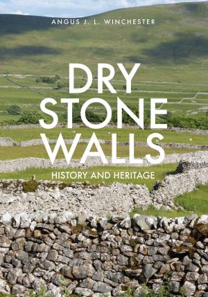 Cover of the book Dry Stone Walls by Paul Berry