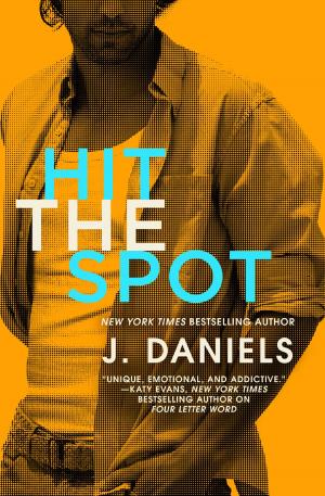 Cover of the book Hit the Spot by Erin Kern