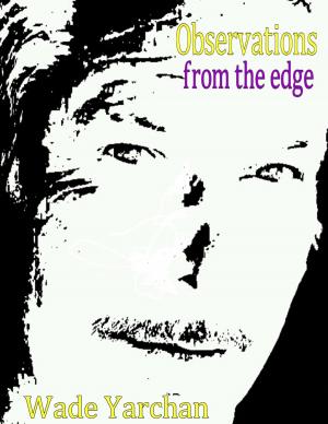 Cover of the book OBSERVATIONS FROM THE EDGE by Rebecca Walcott