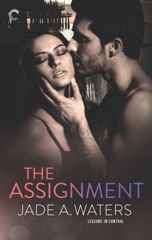 Cover of the book The Assignment by Anne Bordeaux