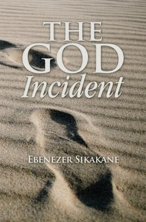 bigCover of the book The God Incident by 