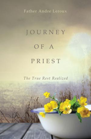 Cover of the book Journey of a Priest by Harry Keating
