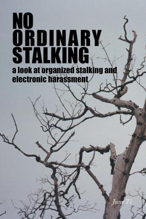 Cover of the book No Ordinary Stalking by Sue Lehr