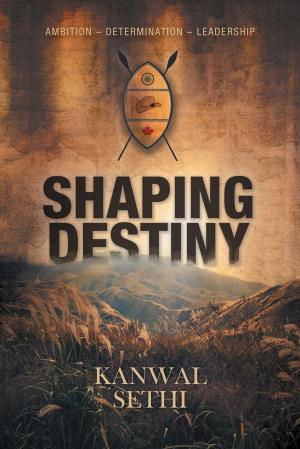 Cover of the book Shaping Destiny by Edwin F. Drewlo