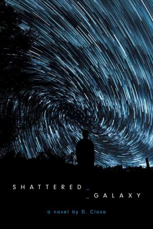 Cover of the book Shattered Galaxy by Karin J. Hobson