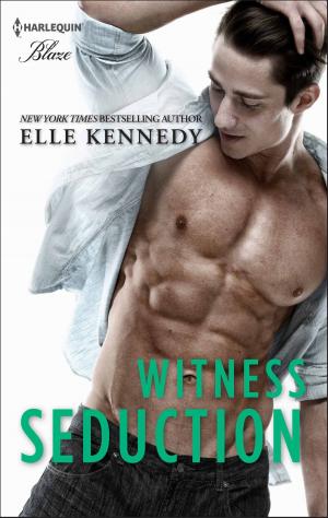 Cover of the book Witness Seduction by Nancy Gideon