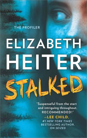 Cover of the book Stalked by Heather Graham