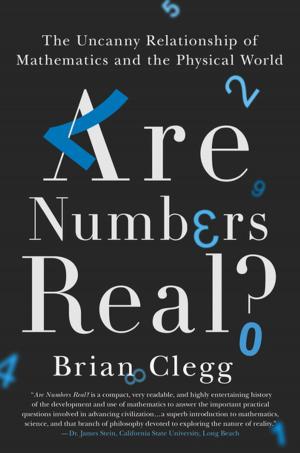 Cover of the book Are Numbers Real? by Mohsen Kermanshahi