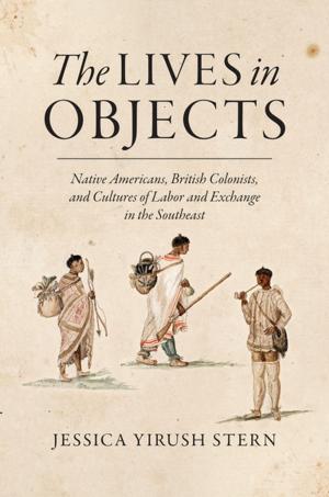 Cover of the book The Lives in Objects by Katherine Fletcher