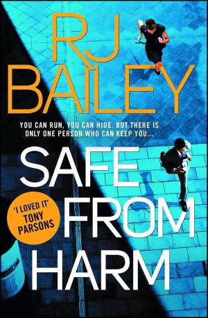 Cover of the book Safe From Harm by Holly Hepburn