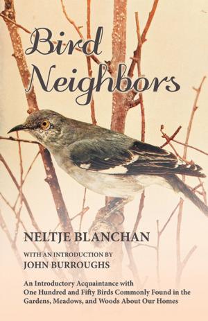 Cover of the book Bird Neighbors - An Introductory Acquaintance with One Hundred and Fifty Birds Commonly Found in the Gardens, Meadows, and Woods About Our Homes by Aniimal Town