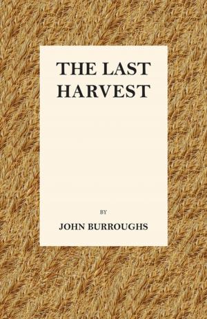 Cover of the book The Last Harvest by Henryk Sienkiewicz