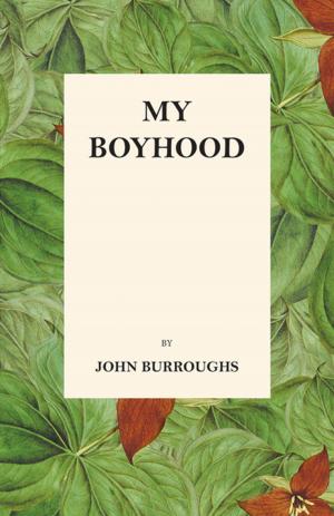 Cover of the book My Boyhood by Sara Teasdale