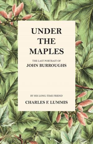 Cover of the book Under the Maples - The Last Portrait of John Burroughs by J. C. Slater