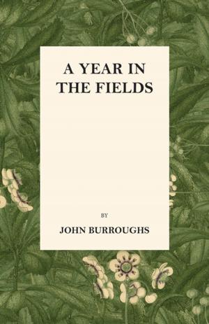 Cover of the book A Year in the Fields by Gaston Leroux