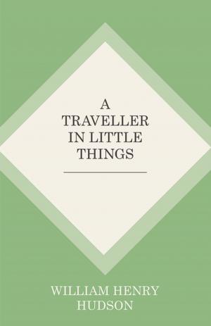 Book cover of A Traveller in Little Things