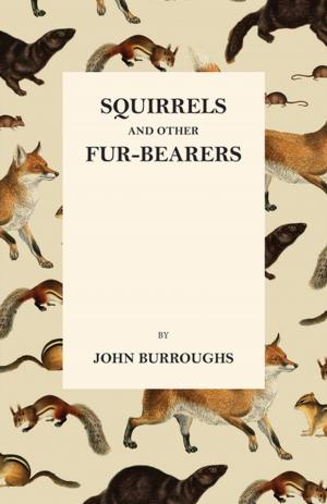 Cover of the book Squirrels and Other Fur-Bearers by Charles Winslow Hall