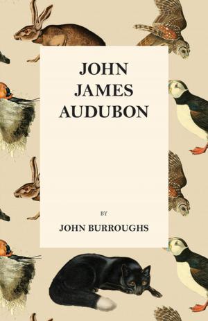 Cover of the book John James Audubon by M. Deanesly