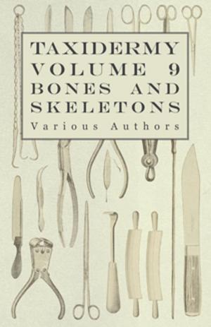 Cover of the book Taxidermy Vol. 9 Bones and Skeletons - The Collection, Preparation and Mounting of Bones by Alfred Noyes