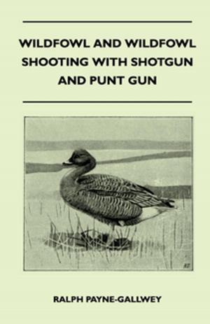 bigCover of the book Wildfowl and Wildfowl Shooting with Shotgun and Punt Gun by 