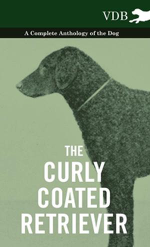 bigCover of the book The Curly Coated Retriever - A Complete Anthology of the Dog - by 
