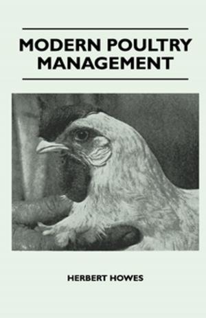 Cover of the book Modern Poultry Management by Antonín Dvorák