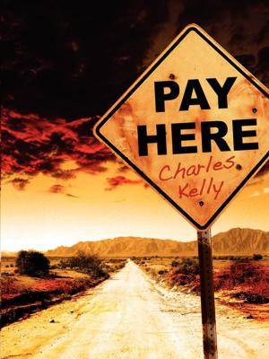 Cover of the book Pay Here by John Burke