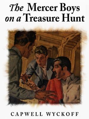 Book cover of The Mercer Boys on a Treasure Hunt
