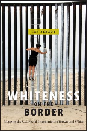 Cover of the book Whiteness on the Border by James M. Lindgren