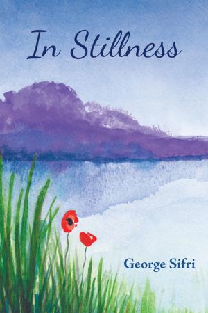 bigCover of the book In Stillness by 