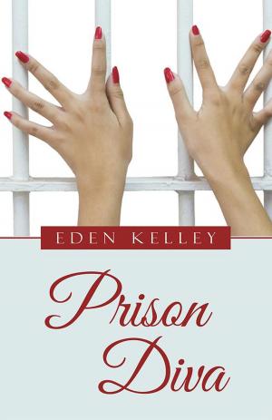 Cover of the book Prison Diva by Benjamin Vinar