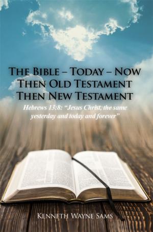 Cover of the book The Bible – Today – Now by Edward P. Dramberger, PhD 