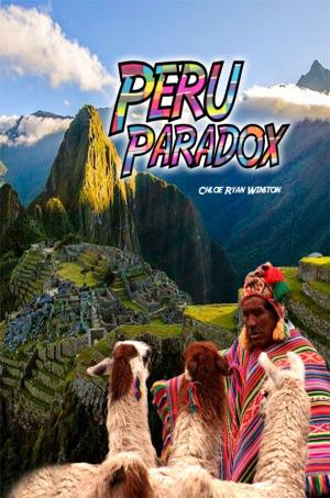 Cover of the book Peru Paradox by Gil Alligood