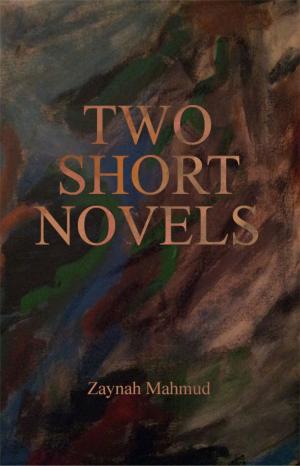 Cover of the book Two Short Novels by Arthur Ross Romero