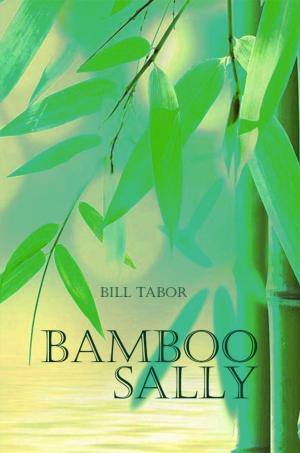 Cover of the book Bamboo Sally by James Benedict