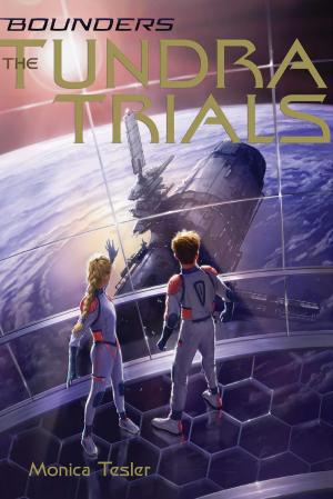 Cover of the book The Tundra Trials by Jessica Burkhart