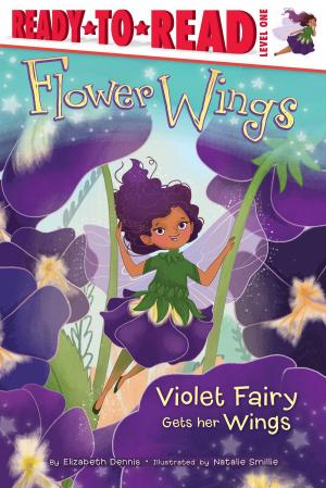 Cover of the book Violet Fairy Gets Her Wings by Becky Friedman