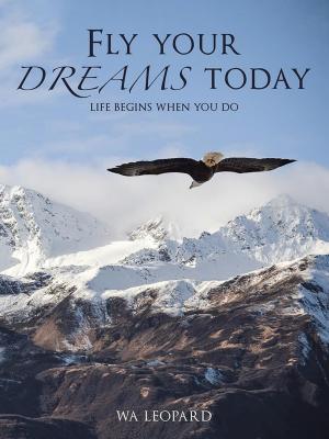 Cover of the book Fly Your Dreams Today by Kathy Sheosanker