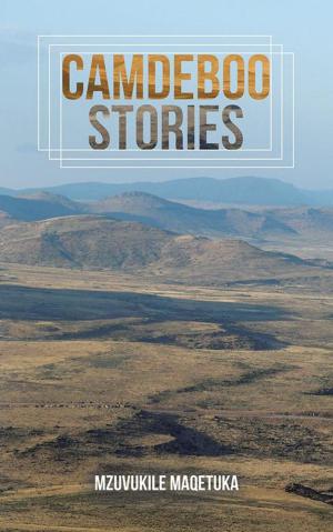 Cover of the book Camdeboo Stories by Gideon Cebekhulu