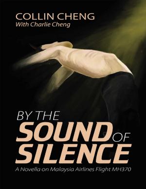 Cover of the book By the Sound of Silence: A Novella On Malaysia Airlines Flight M H 370 by Anil Anand, BPHE, LLM, MBA, GEMBA