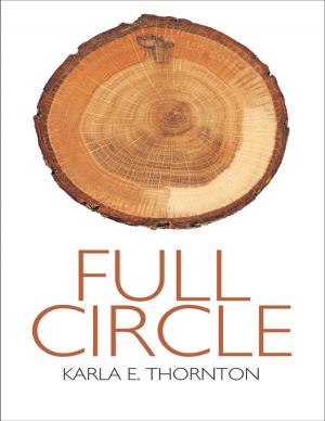 Cover of the book Full Circle by Ayesha Chawla Raj