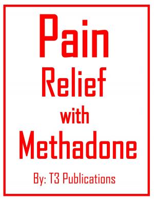 Cover of the book Pain Relief With Methadone by Joey V. Price, MS, PHR