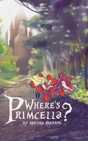 Cover of the book Where's Primcella? by David O. Dykes